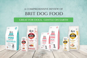 British Dog Food: A Comprehensive Guide to Nourishing Your Canine Companion