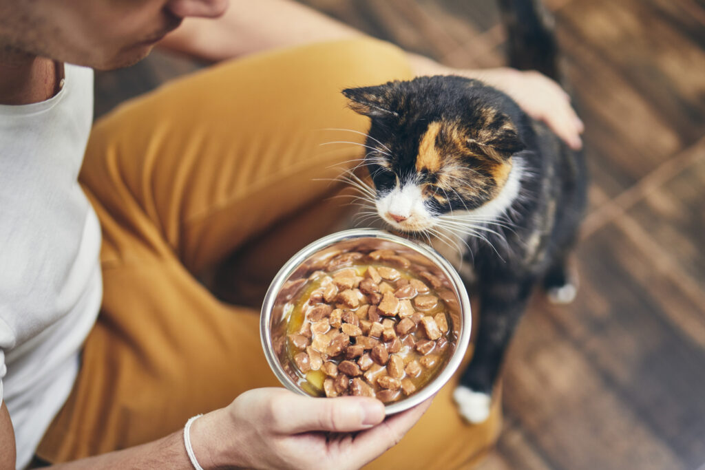 Fresh Food for Cats: A Guide to Nutritional Benefits and Preparation