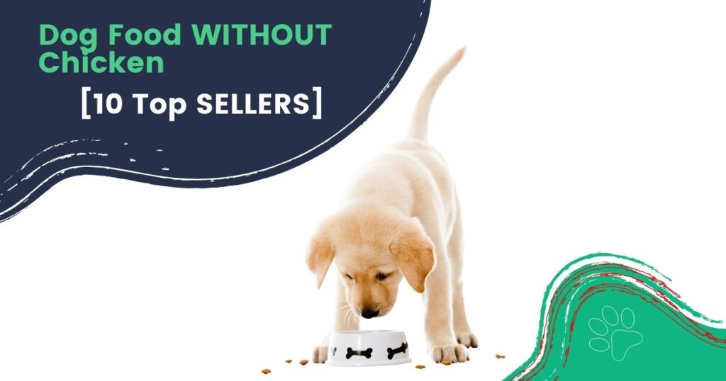 No Chicken Dog Food: A Nutritious Alternative for Your Furry Friend