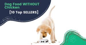 No Chicken Dog Food: A Nutritious Alternative for Your Furry Friend