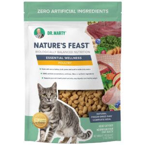 Dr. Marty Cat Food: A Comprehensive Guide to Healthy Nutrition