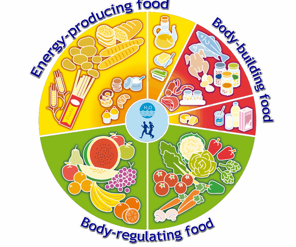 Food Wheel: A Comprehensive Guide to Healthy Eating