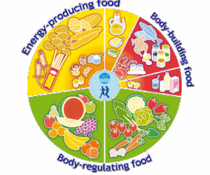 Food Wheel: A Comprehensive Guide to Healthy Eating