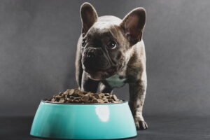 The Ultimate Guide to Feeding Your Bulldog: Discover the Best Foods for Optimal Health