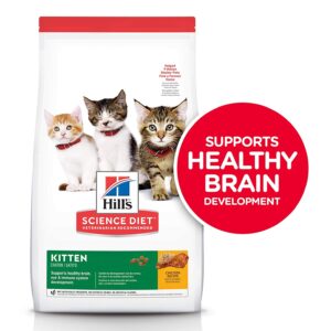 Best Dry Kitten Food: A Comprehensive Guide to Nourishing Your Feline Companion