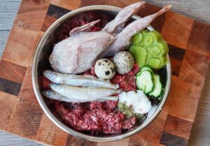Dog Raw Food: A Comprehensive Guide to Feeding Your Pet Naturally