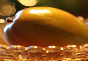 Money Tree Food: A Comprehensive Guide to Its Culinary, Medicinal, and Economic Significance