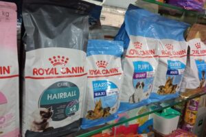 Soft Dry Cat Food: A Comprehensive Guide to Nourishment and Delight