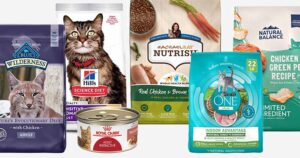 Hypoallergenic Cat Food: A Comprehensive Guide to Healthy and Happy Felines
