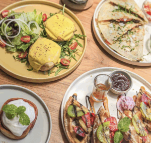 Dania Point: A Vegan Culinary Haven