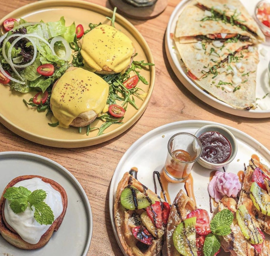 Dania Point: A Vegan Culinary Haven