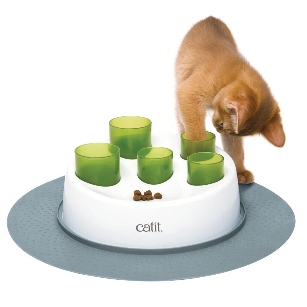 Cat Food Puzzles: Engaging Your Cat’s Mind and Body