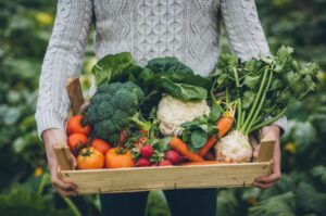 Food in Plant Craft: A Culinary Canvas for Artistic Expression