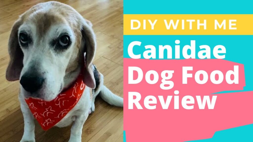 Canidae Dog Food Reviews: A Comprehensive Analysis