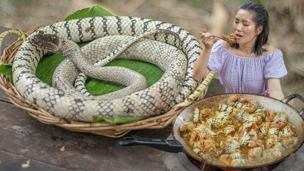 Snake Food: A Comprehensive Guide to Feeding Your Reptile