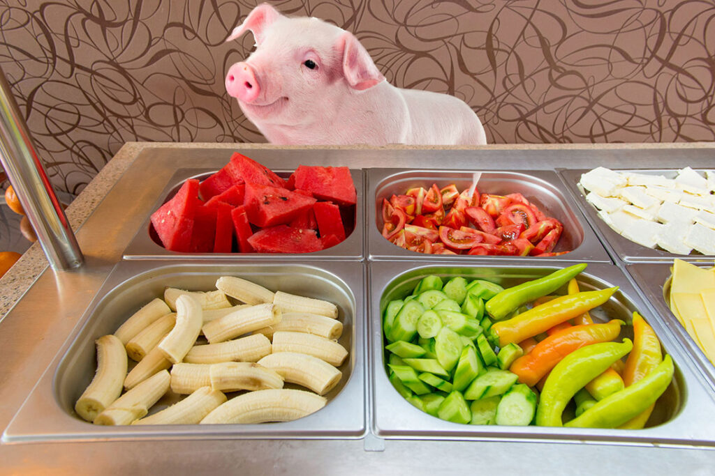 Pig Food: A Comprehensive Guide to Nutrition, Production, and Sustainability