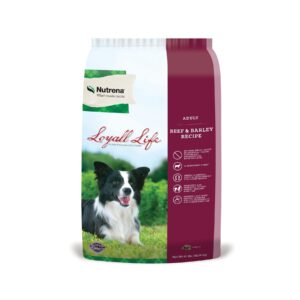 Nutrena Dog Food: A Comprehensive Guide to Canine Nutrition