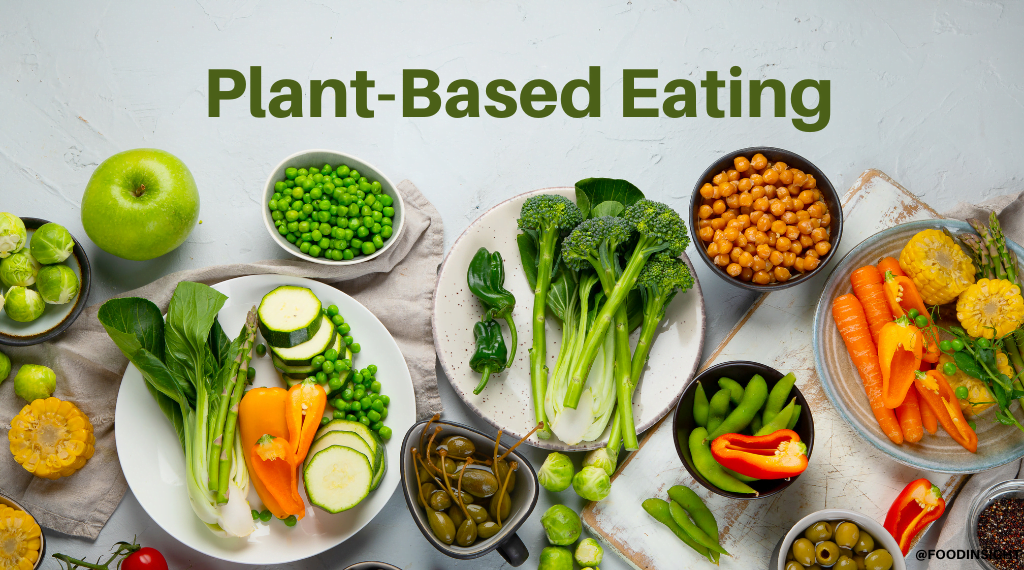 Plant Food: The Ultimate Guide to Nourishing Your Plants