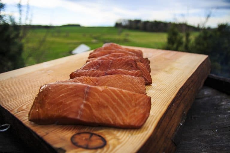 Salmon for Pet Food: A Guide to Nutritional Benefits, Health Advantages, and Safe Feeding Practices