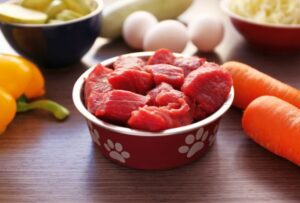 Dog Food Toppers: Enhancing Flavor, Nutrition, and Health for Your Canine Companion