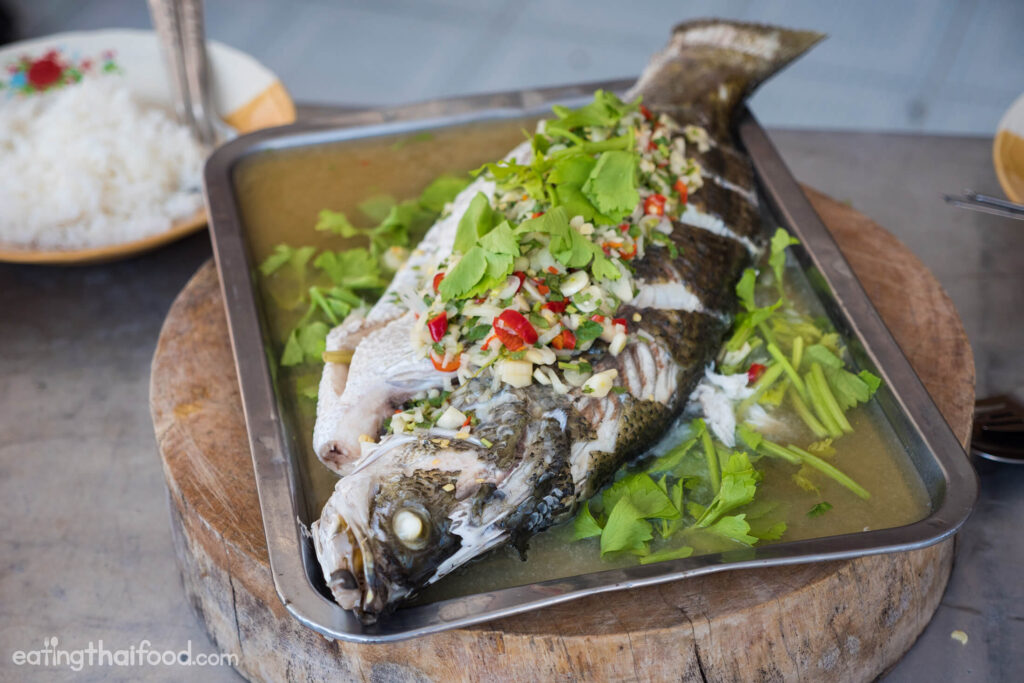 Homemade Fish Food: A Guide to Preparing Nutritious Meals for Your Aquatic Pets