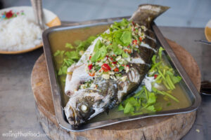 Homemade Fish Food: A Guide to Preparing Nutritious Meals for Your Aquatic Pets