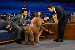 John Legend’s Dog Food: A Nutritional Haven for Your Furry Friend