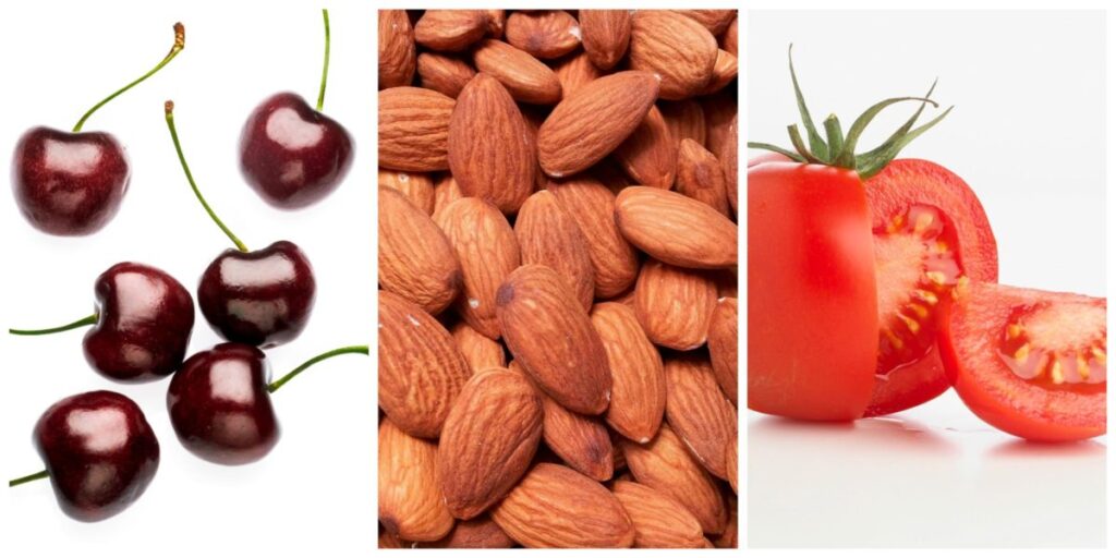 Toxic Foods for Parrots: Essential Knowledge for Bird Owners