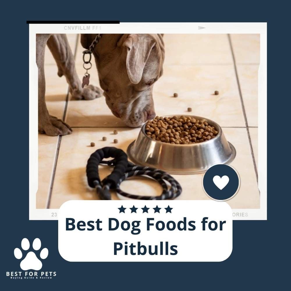The Ultimate Guide to Nourishing Your Pitbull: Discover the Best Food for a Healthy and Happy Canine