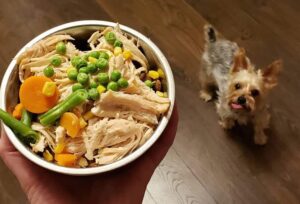 Best Food for Yorkies: A Comprehensive Guide to Nutrition and Diet